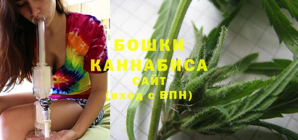 сатива Баксан