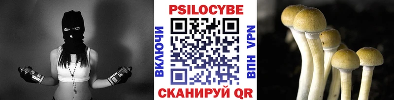 Псилоцибиновые грибы Cubensis  где найти наркотики  Магас 